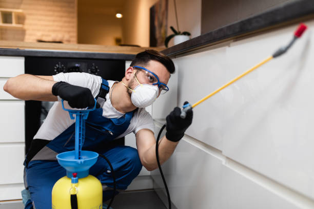 Best Wasp Removal Services  in Malabar, FL