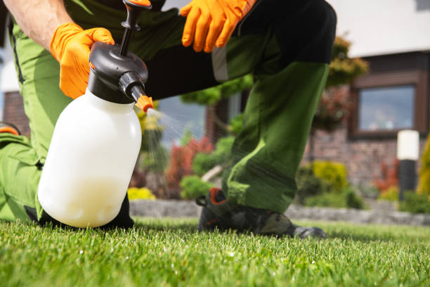 Trusted Malabar, FL Pest Control Experts