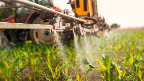 Best Commercial Pest Control Services  in Malabar, FL